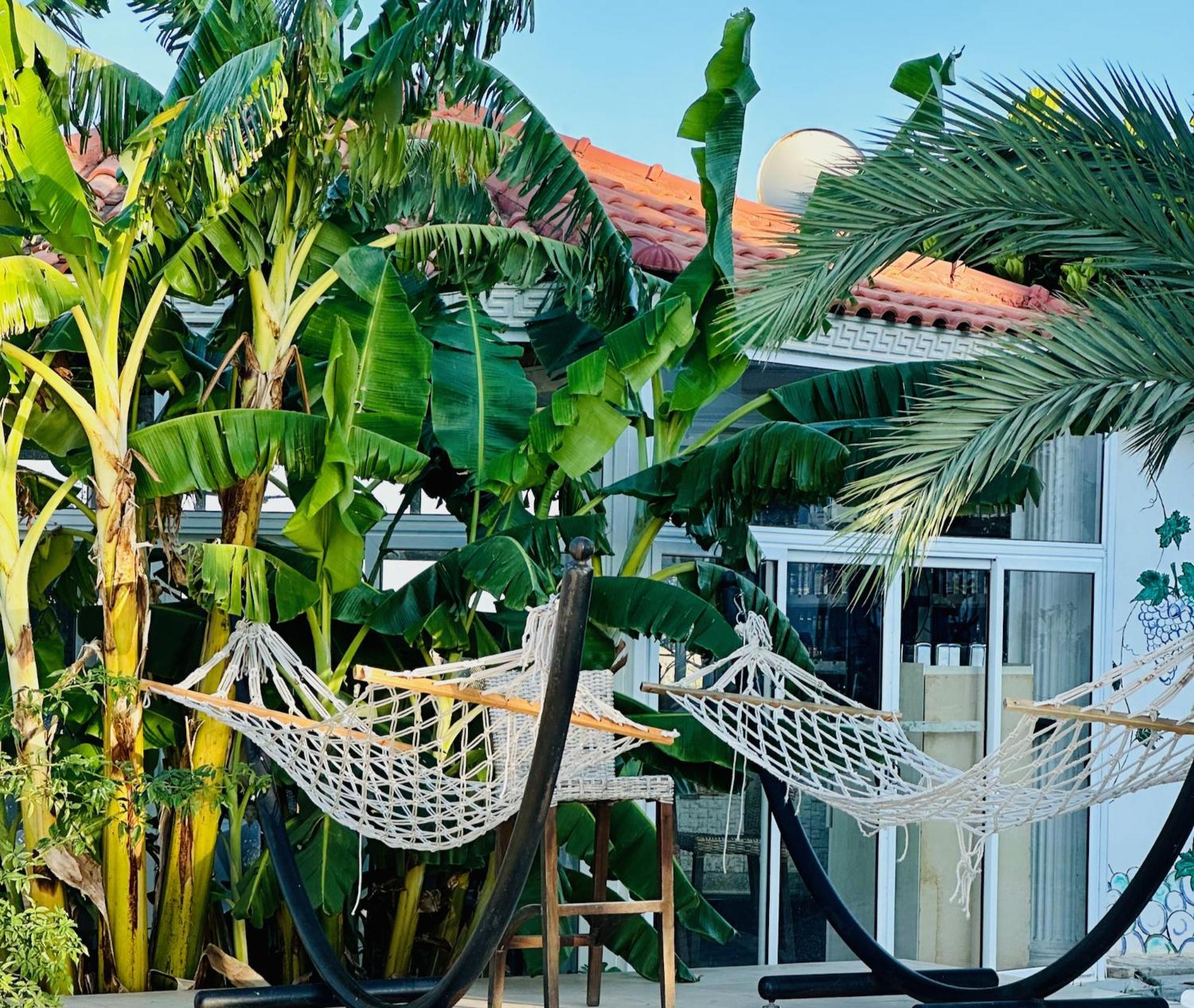 Celebi Garden Hotel - Cittaslow Retreat 파마구스타 외부 사진