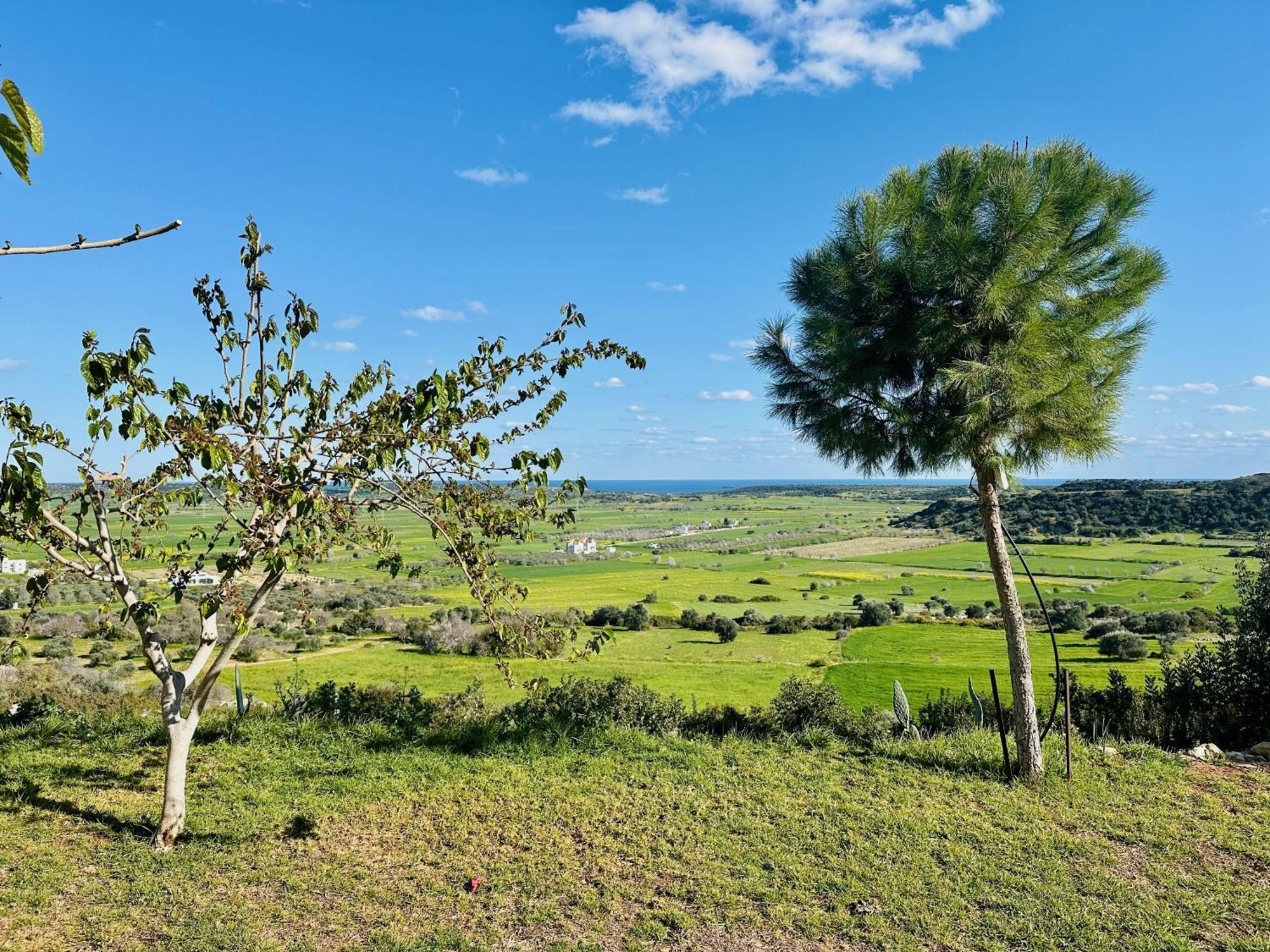 Celebi Garden Hotel - Cittaslow Retreat 파마구스타 외부 사진